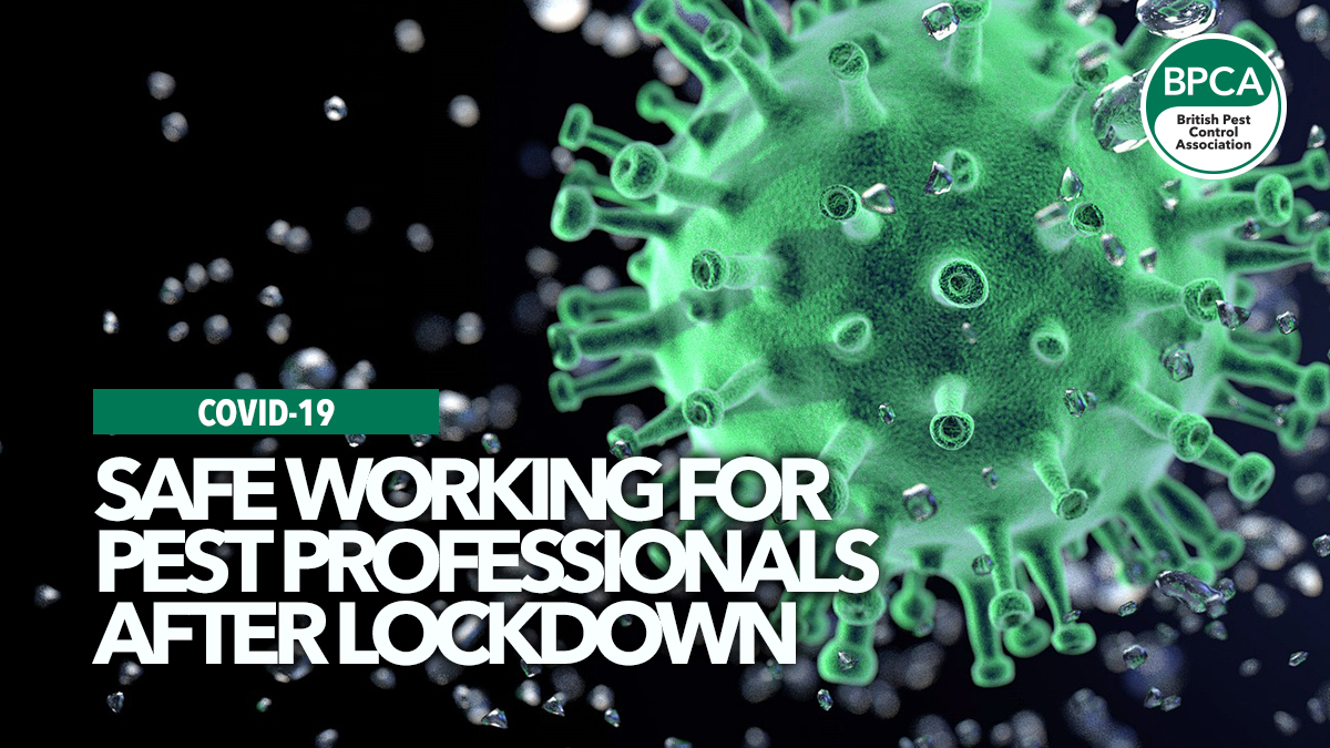 safe-working-after-lockdown safe-working-after-lockdown
